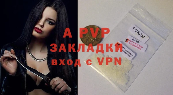 шишки Козельск