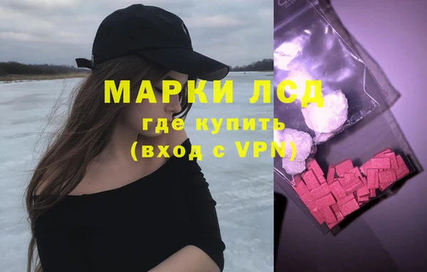 шишки Козельск