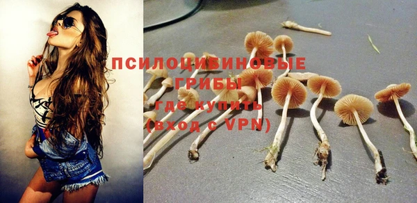apvp Козловка
