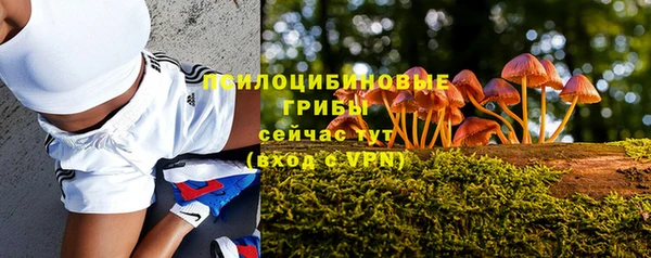 apvp Козловка