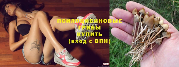 шишки Козельск