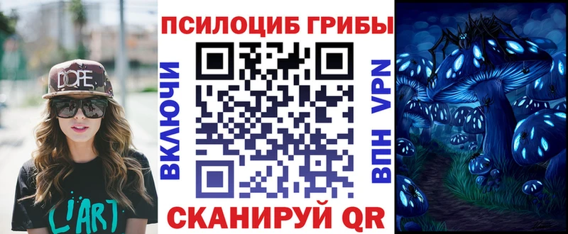 Псилоцибиновые грибы Cubensis  Купить где  Котовск 